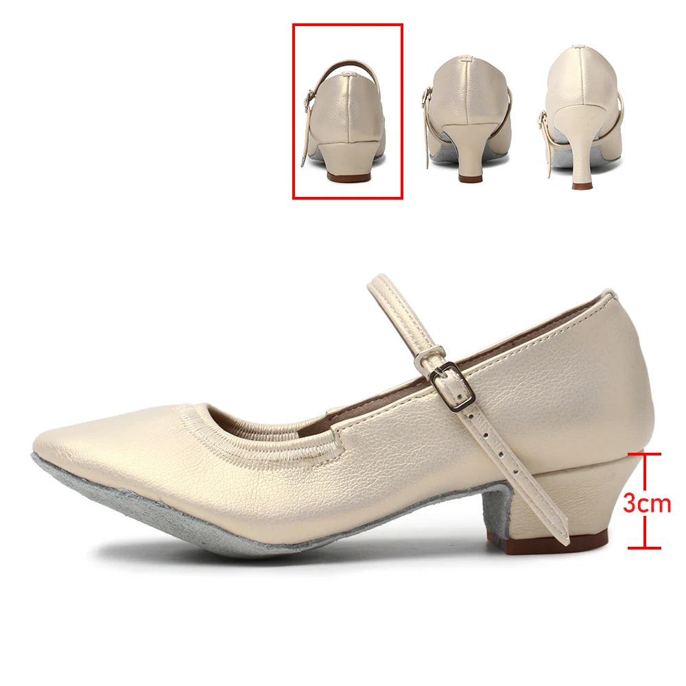 New arrival Brand Modern Dance Shoes Women Girls Dancing Shoes High Heeled Ballroom Latin Dance Shoes For Women 5CM and 7CM Heel